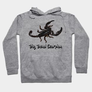 Big Bend Scorpion Hoodie